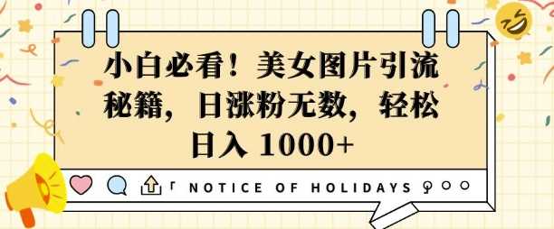 小白必看，美女图片引流秘籍，日涨粉无数，轻松日入几张【揭秘】 - 来及网络