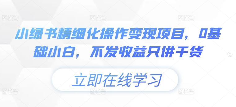 小绿书精细化操作变现项目，0基础小白，不发收益只讲干货 - 来及网络