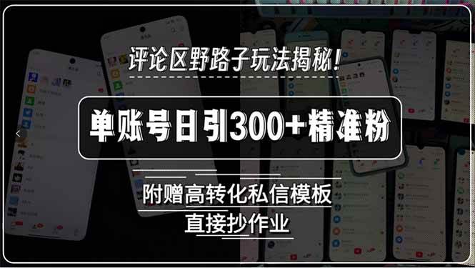 （15466期）评论区野路子玩法揭秘！单账号日引300+精准粉，附赠高转化私信模板，直… - 来及网络