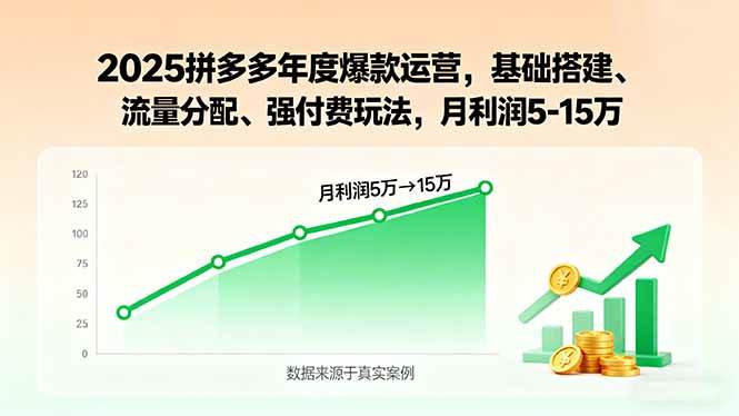 （15973期）2025拼多多年度爆款运营，基础搭建、流量分配、强付费玩法，月利润5-15万 - 来及网络