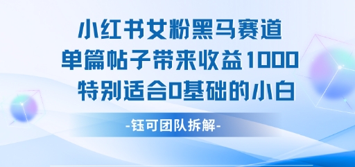 小红书女粉黑马赛道单篇帖子带来收益1k+，特别适合0基础的小白 - 来及网络