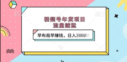 视频号年货项目，流量贼猛，早布局早挣钱，日入上k【揭秘】 - 来及网络
