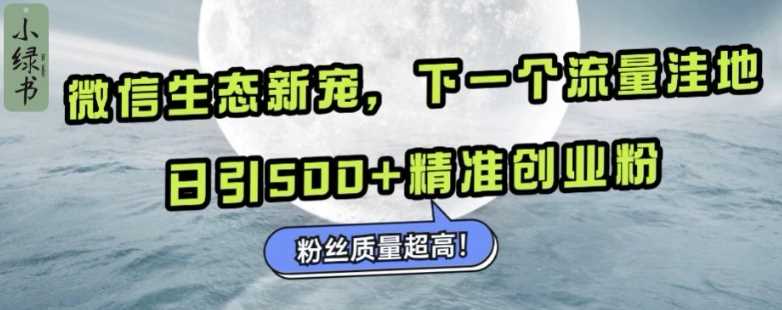 微信生态新宠小绿书：下一个流量洼地，日引500+精准创业粉，粉丝质量超高 - 来及网络