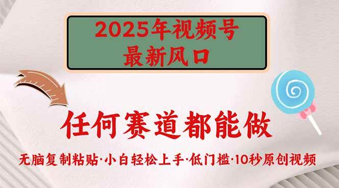 （14453期）2025年视频号新风口，低门槛只需要无脑执行 - 来及网络