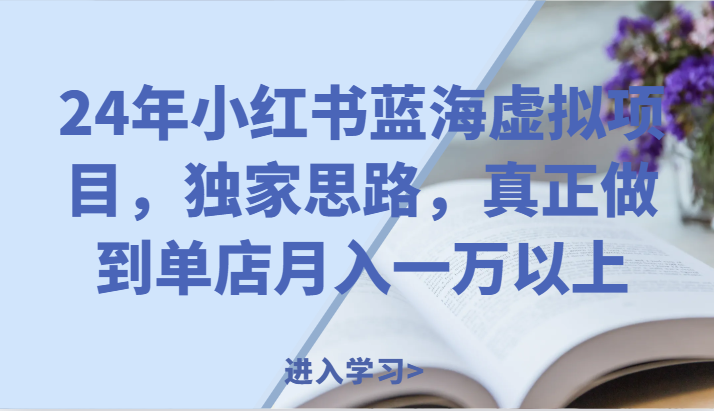 24年小红书蓝海虚拟项目，独家思路，真正做到单店月入一万以上。 - 来及网络
