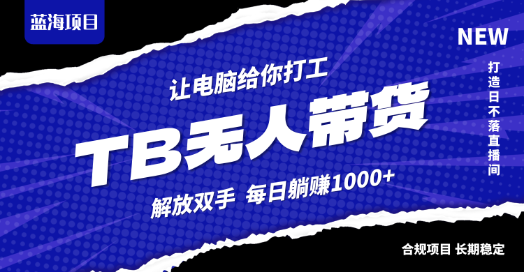 （12742期）淘宝无人直播最新玩法，不违规不封号，轻松月入3W+ - 来及网络