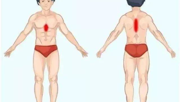 巴西与中国 AI 模型发展对比分析表 - 来及网络