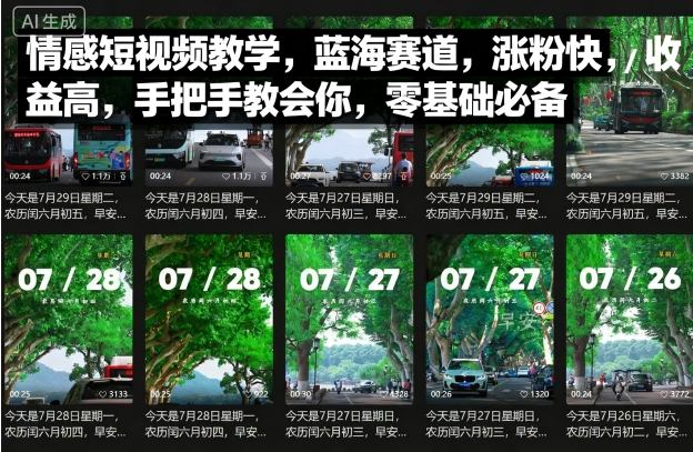 情感短视频教学，蓝海赛道，涨粉快，收益高，手把手教会你，零基础必备 - 来及网络