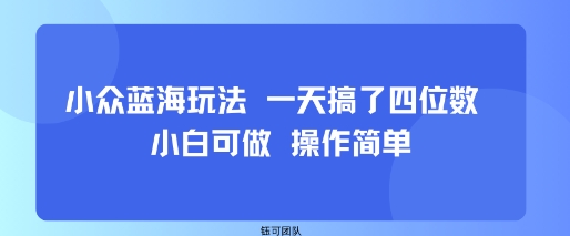 小众蓝海玩法 一天搞了四位数 小白可做 操作简单 - 来及网络