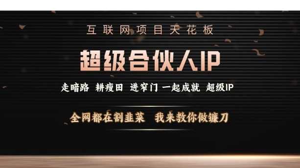 互联网项目天花板，超级合伙人IP，全网都在割韭菜，我来教你做镰刀【仅揭秘】 - 来及网络