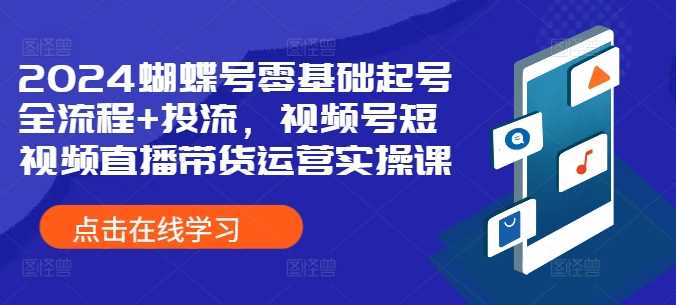 2024蝴蝶号零基础起号全流程+投流，视频号短视频直播带货运营实操课 - 来及网络