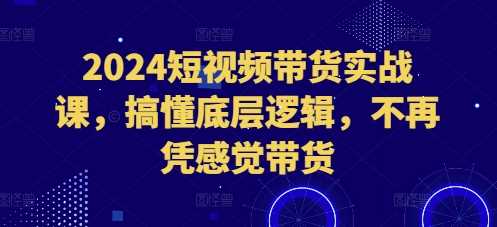 2024短视频带货实战课，搞懂底层逻辑，不再凭感觉带货 - 来及网络