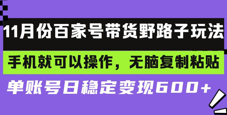 （13281期）百家号带货野路子玩法 手机就可以操作，无脑复制粘贴 单账号日稳定变现… - 来及网络
