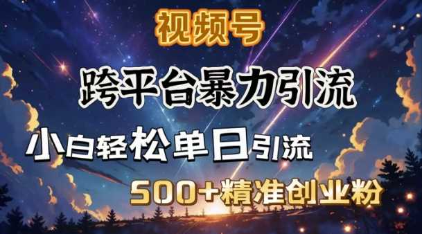 跨平台暴力引流，私域完美闭环，日引500+精准创业粉 - 来及网络