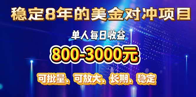 （15782期）稳定8年的美金对冲创业项目，单人每日收益800-3000，小众暴力项目 - 来及网络