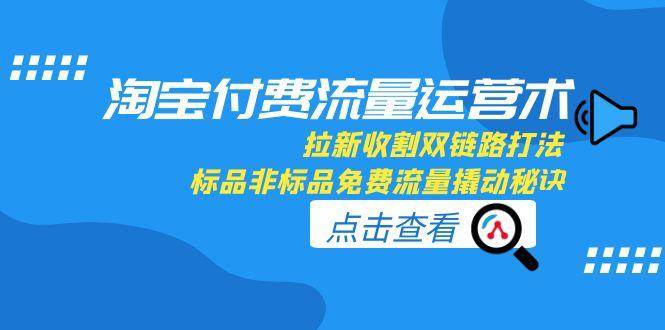 （15135期）淘宝付费流量运营术，拉新收割双链路打法，标品非标品免费流量撬动秘诀 - 来及网络
