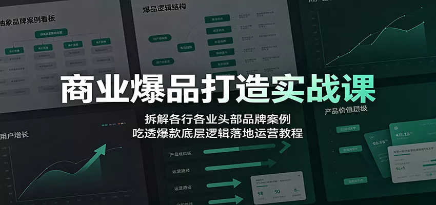 商业爆品打造实战课：拆解各行各业头部品牌案例，吃透爆款底层逻辑落地运营教程 - 来及网络