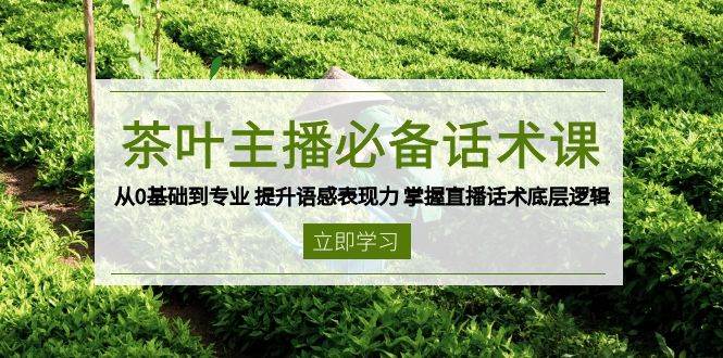 （13961期）茶叶 主播必备话术课 从0基础到专业 提升语感表现力 掌握直播话术底层逻辑 - 来及网络