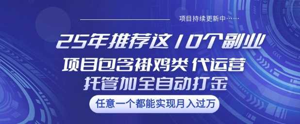 25年推荐这10个副业项目包含褂鸡类、代运营托管类、全自动打金类【揭秘】 - 来及网络