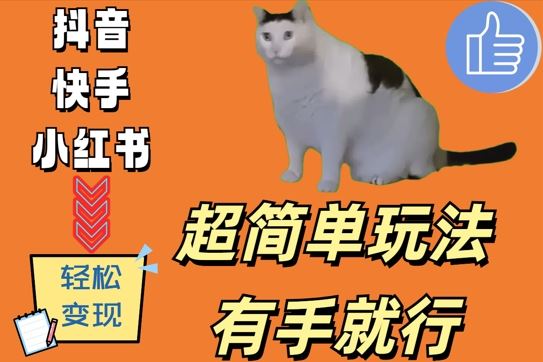 超简单玩法，有手就行，靠猫咪视频日入500+【揭秘】 - 来及网络