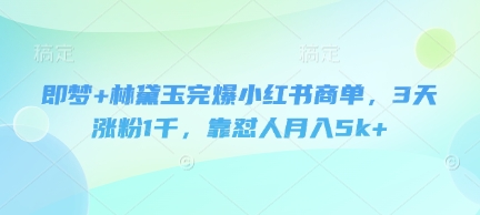 即梦+林黛玉完爆小红书商单，3天涨粉1千，靠怼人月入5k+ - 来及网络
