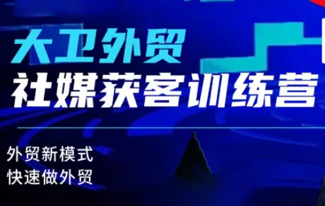 大卫老师·外贸社媒获客独家训练营(更新8月) - 来及网络