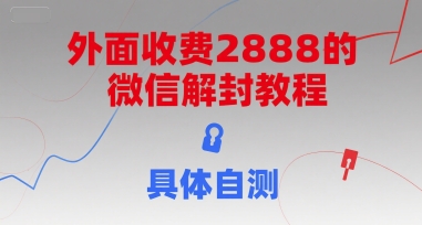 （15301期）外面收费2888的微信解封教程，具体自测 - 来及网络