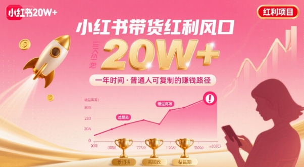 一年时间靠小红书带货项目年入20w+，最不能错的大红利项目 - 来及网络