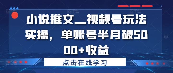 小说推文—视频号玩法实操，单账号半月破5000+收益 - 来及网络