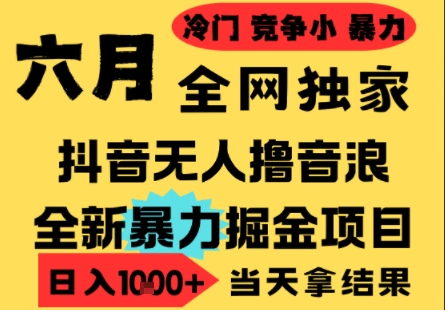 25年6月高爆抖音无人直播最新撸音浪掘金项目，小白可做，无脑日入1k+，门槛低可批量矩阵【揭秘】 - 来及网络