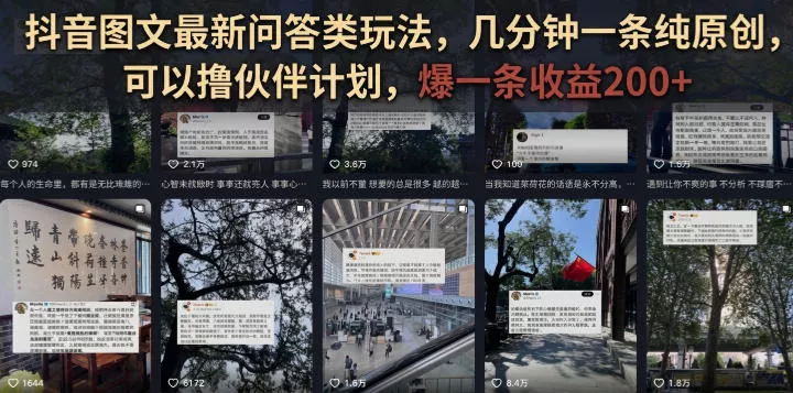 抖音图文最新问答类玩法，几分钟一条纯原创，可以撸伙伴计划，爆一条收益200+ - 来及网络