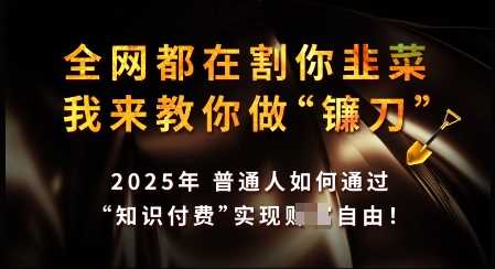 知识付费如何做到月入过W+，2025我来教你做“镰刀”【揭秘】 - 来及网络