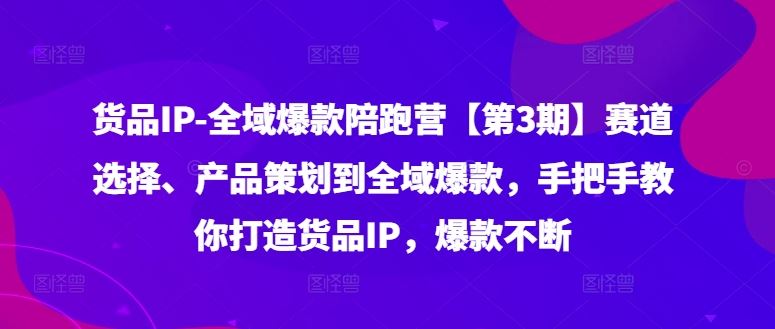 货品IP全域爆款陪跑营【第3期】赛道选择、产品策划到全域爆款，手把手教你打造货品IP，爆款不断 - 来及网络
