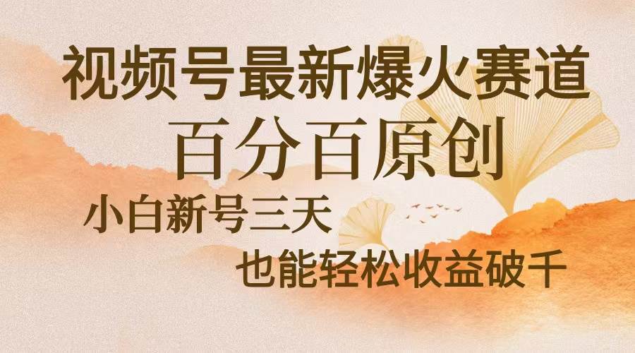 （13225期）视频号最新爆火赛道，中老年粉深信不疑，百分百原创，新号三天收益轻松… - 来及网络