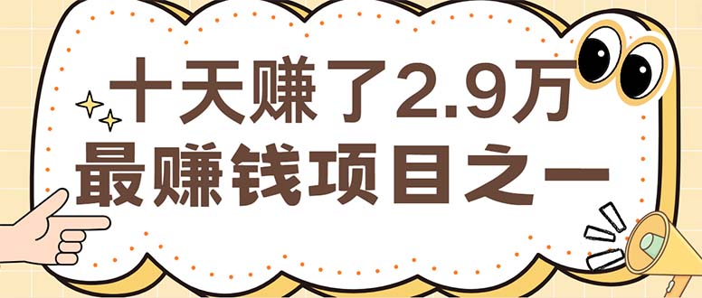 （12491期）闲鱼小红书赚钱项目之一，轻松月入6万+项目 - 来及网络