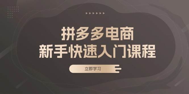 （13289期）拼多多电商新手快速入门课程：涵盖基础、实战与选款，助力小白轻松上手 - 来及网络