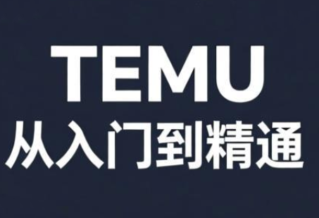 跨境麦冬·TEMU从入门到精通 - 来及网络