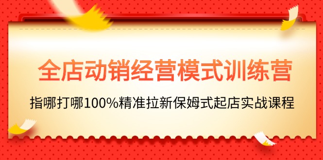 （11460期）全店动销-经营模式训练营，指哪打哪100%精准拉新保姆式起店实战课程 - 来及网络