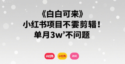 小白可来 小红书项目不需要剪辑 单月3w不是问题 - 来及网络