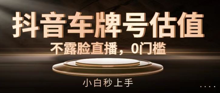 抖音车牌号估值，不露脸直播，0门槛，小白秒上手【揭秘】 - 来及网络