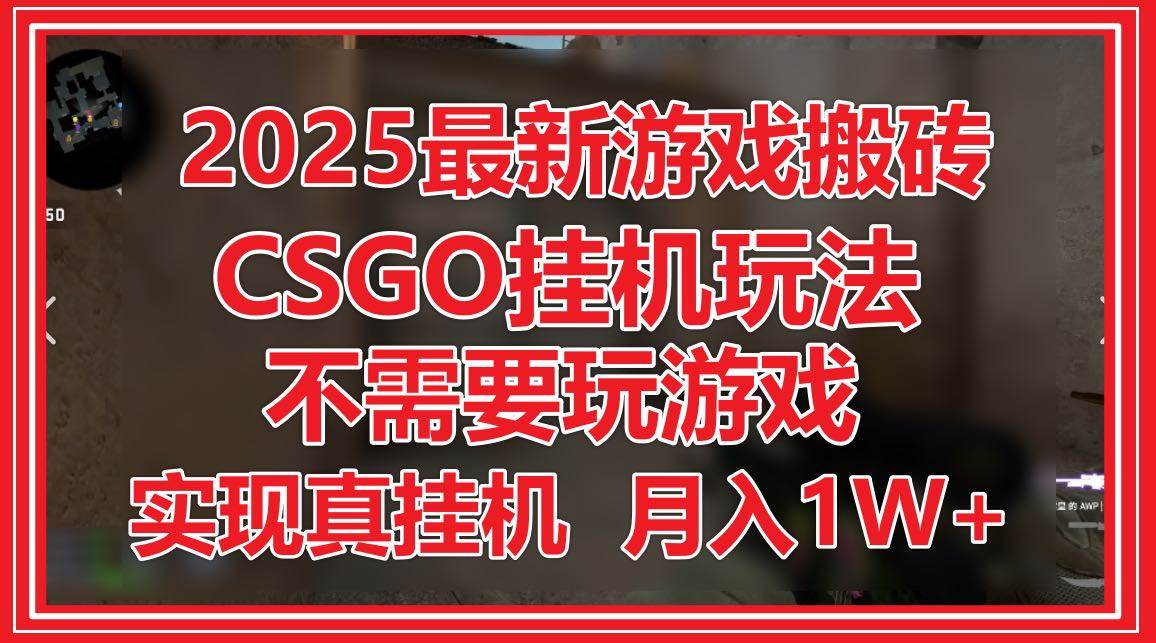 （14743期）2025最新游戏搬砖，CSGO挂机，不需要玩游戏，实现真挂机，月入1W+ - 来及网络