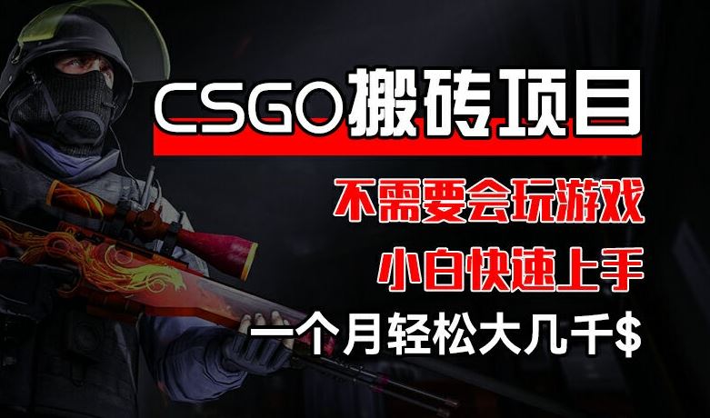 CSGO 装备搬砖项目，操作简单，不需要会玩游戏，小白也能快速上手，一个月轻松大几千【揭秘】 - 来及网络