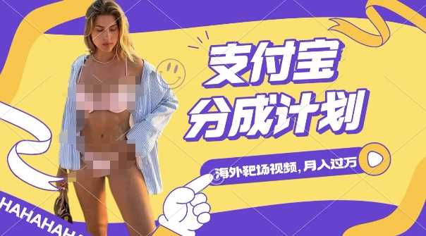 利用海外靶场射击视频，挣支付宝分成收益，轻松月入过W【揭秘】 - 来及网络