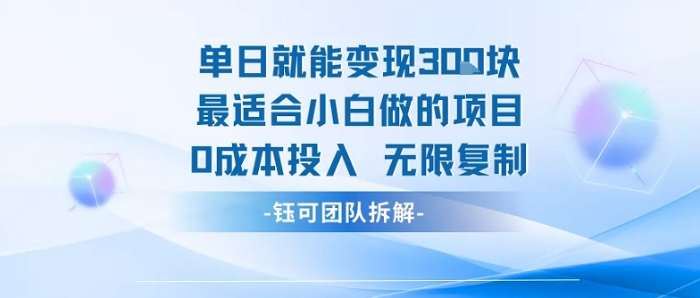 单日就能变现3张最适合小白做的项目0成本投入 无限复制 - 来及网络
