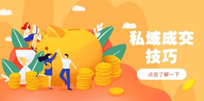 （14566期）私域成交技巧，帮你从入门到精通，破解四大痛点，快速变现，轻松收钱 - 来及网络