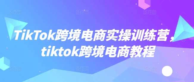 TikTok跨境电商实操训练营，tiktok跨境电商教程 - 来及网络
