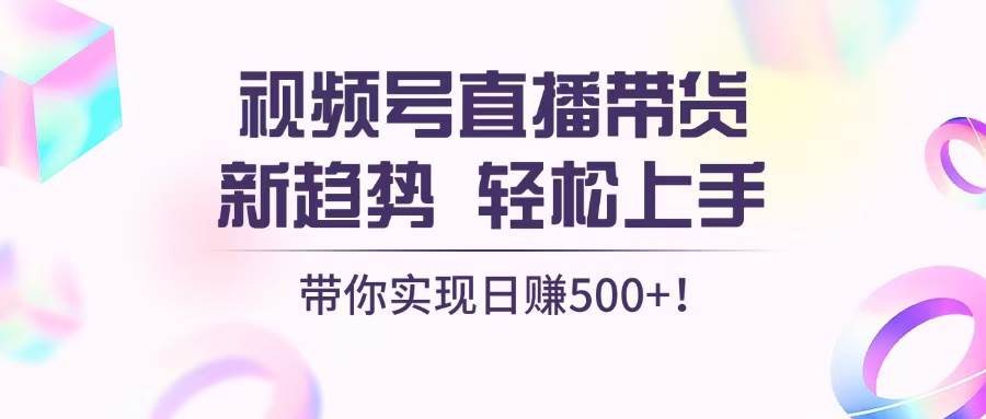 （13370期）视频号直播带货新趋势，轻松上手，带你实现日赚500+ - 来及网络