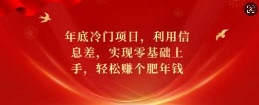 年底冷门项目，利用信息差，实现零基础上手，轻松赚个肥年钱【揭秘】 - 来及网络