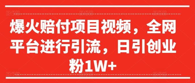 爆火赔付项目视频，全网平台进行引流，日引创业粉1W+【揭秘】 - 来及网络