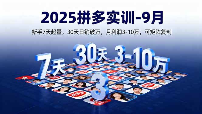 （16008期）2025拼多多实训-9月：新手7天起量,30天日销破万,月利润3-10万,可矩阵复制 - 来及网络